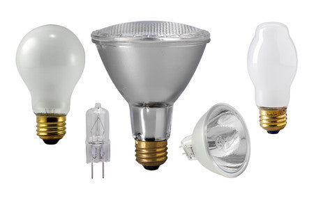 Halogen and Incandescent Lamps